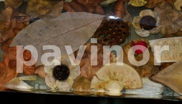 Proyectos | Pavinor microcemento y pavimentos decorativos